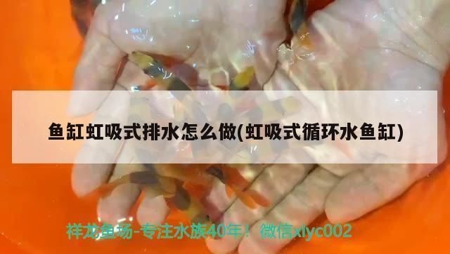 魚缸虹吸排水系統圖講解：虹吸排水系統圖的講解