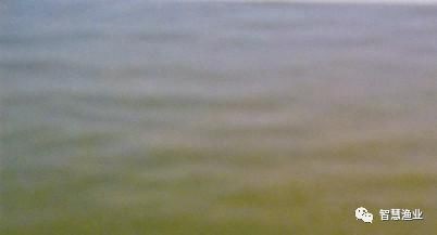 嘉興市<strong><mark>南湖</mark></strong>區城東海納利爾水族館（嘉興市<strong><mark>南湖</mark></strong>區城東海納利爾水族館電話）