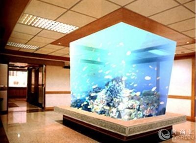 公司放魚缸的風(fēng)水好嗎（辦公室布局與風(fēng)水）