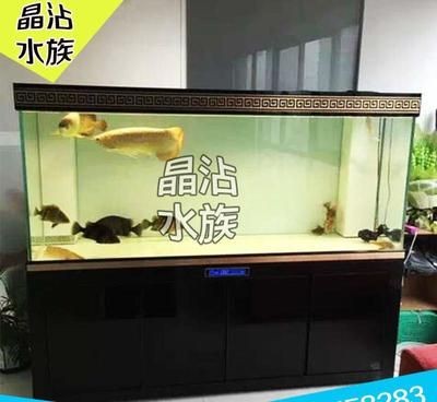 訂做魚缸好還是成品缸好：訂做魚缸和成品缸的選擇優(yōu)缺點(diǎn)是這兩種選擇的優(yōu)缺點(diǎn)
