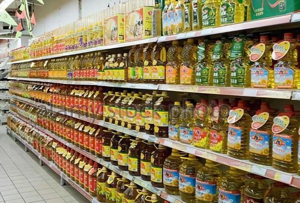 點金龍魚多少錢一條（點金龍魚價格）