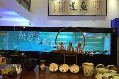金龍魚工藝品圖片大全【如何正確保養和維護金龍魚工藝品】