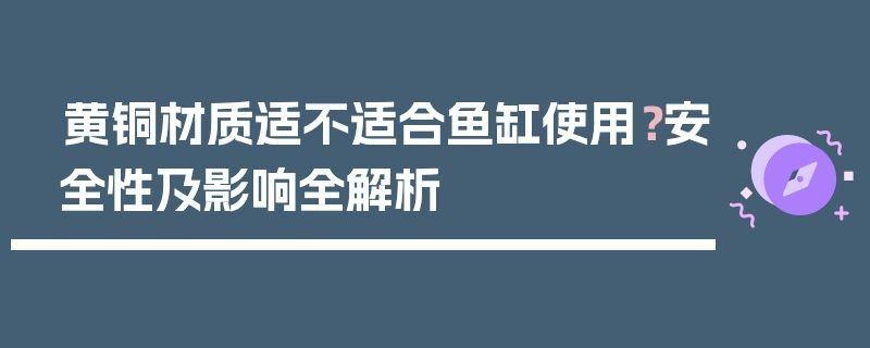 魚缸裝飾材料安全性檢測方法：魚缸裝飾材料安全性檢測