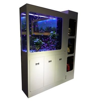 生態魚缸的生態構建：廣東新概念水族魚缸的生態構建