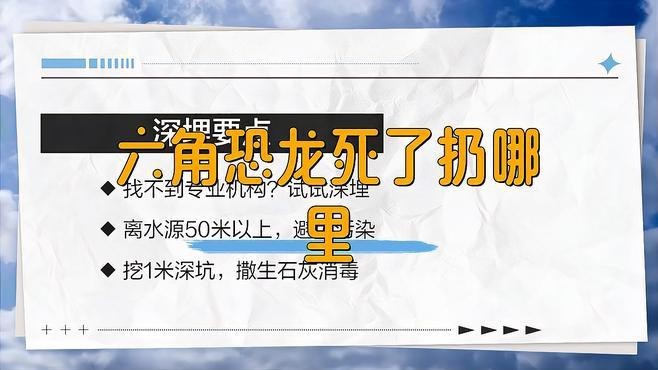 六角龍死亡后如何處理？