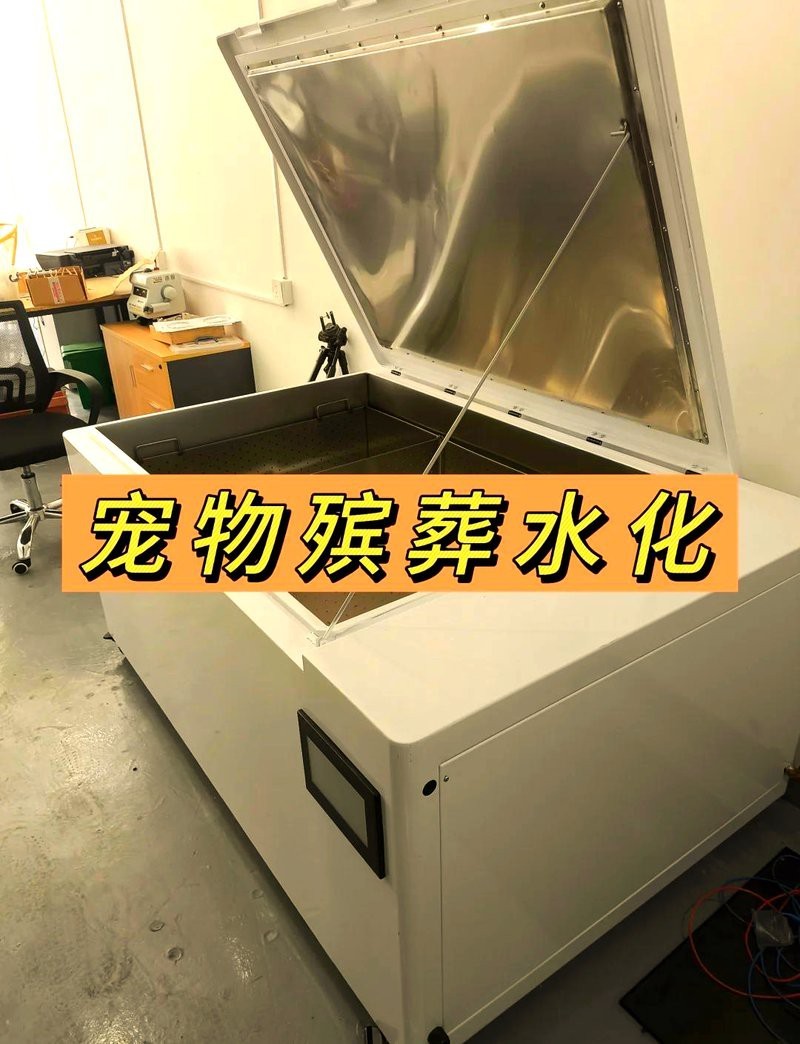 六角龍死亡后如何處理？