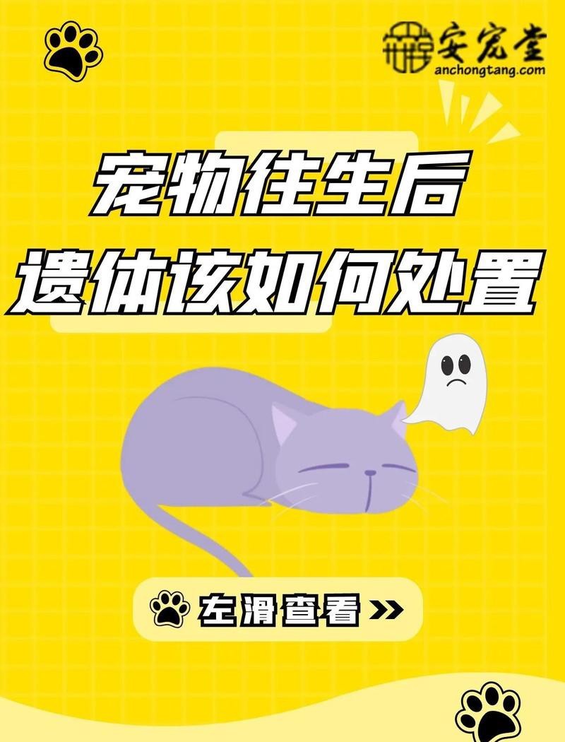 六角龍死亡后如何處理？