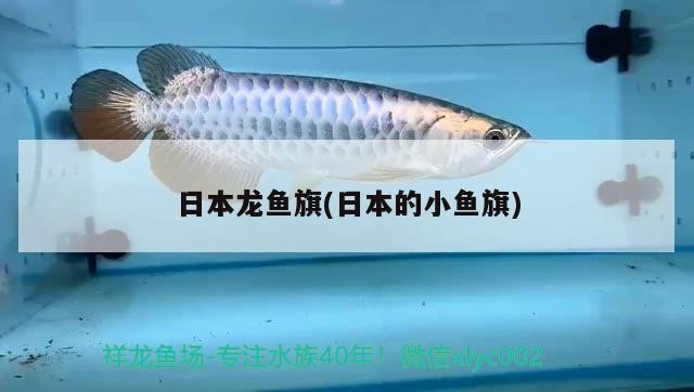 齊齊哈爾市碾子山區紅艷鮮花禮品店