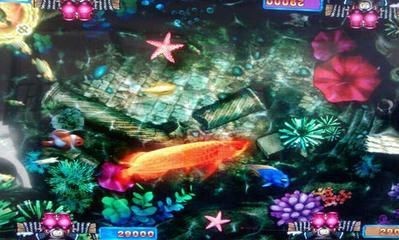 三色金龍魚捕魚（三色金龍魚捕魚游戲）