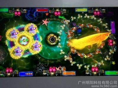三色金龍魚捕魚（三色金龍魚捕魚游戲）