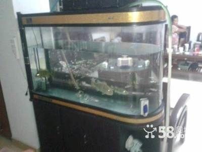 廣州魚缸制作廠家及其相關信息是根據搜索結果整理的：廣州魚缸制作廠家