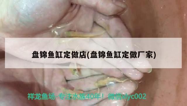 盤錦魚缸定做店(盤錦魚缸定做廠家)