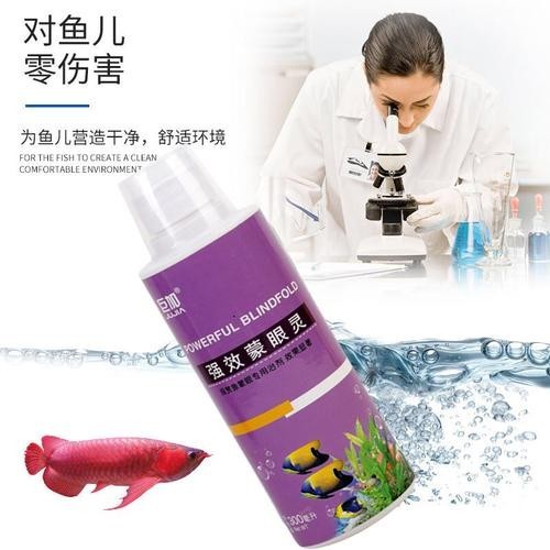 龍魚眼蒙眼怎么辦圖片
