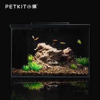 起源紀魚缸：起源紀魚缸的設計與制作過程