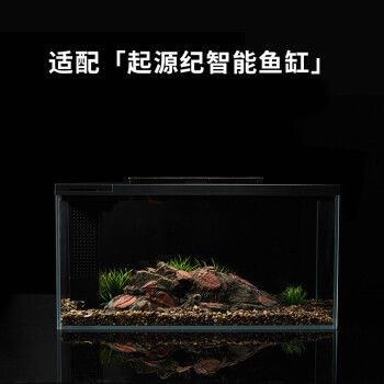起源紀魚缸：起源紀魚缸的設計與制作過程