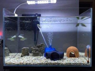 小魚魚缸水泵安裝視頻：關于小魚魚缸水泵安裝的詳盡視頻教程