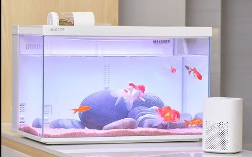 魚缸品牌大全圖片：知名魚缸品牌及其圖片詳細介紹水族器材選購指南