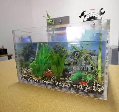 DIY魚缸裝飾創意分享：魚缸微景觀設計技巧,自制魚缸省錢攻略