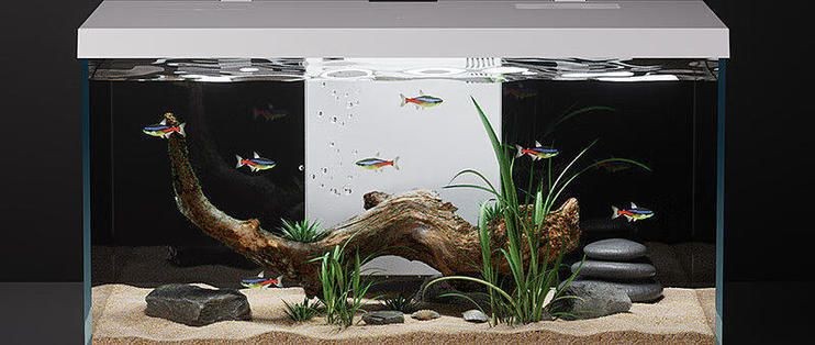 喜來佳魚缸品牌：喜來佳魚缸與競(jìng)品對(duì)比分析喜來佳魚缸用戶評(píng)價(jià)匯總