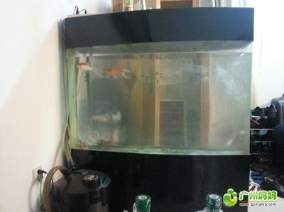 廣州二手魚缸交易市場與魚缸相關的市場或者公司或者公司：關于廣州二手車交易市場的問題