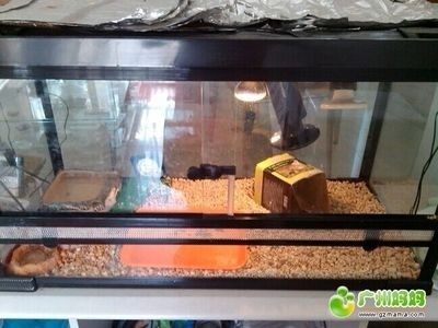 廣州二手魚缸交易市場與魚缸相關的市場或者公司或者公司：關于廣州二手車交易市場的問題