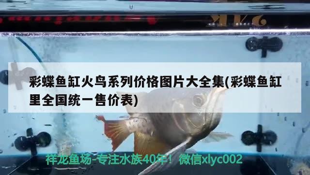 婁底魚缸訂做(婁底魚缸店)
