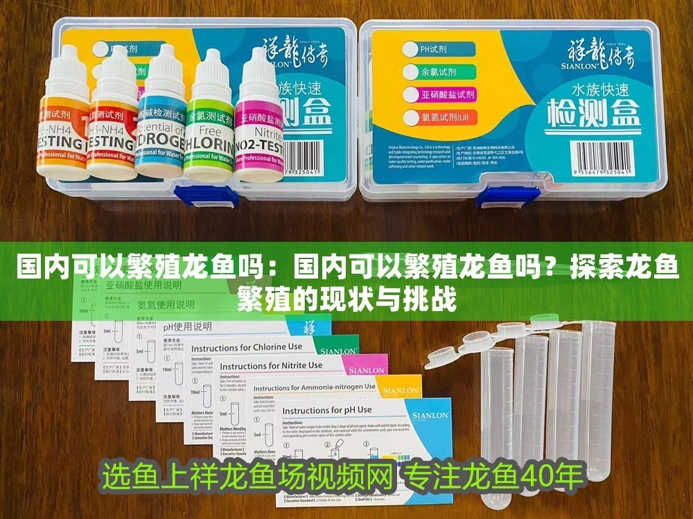 國內可以繁殖龍魚嗎：國內可以繁殖龍魚嗎？探索龍魚繁殖的現狀與挑戰