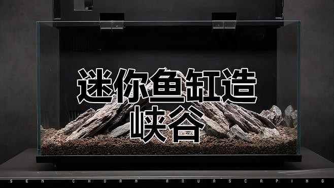 龍魚缸水草造景圖片大全