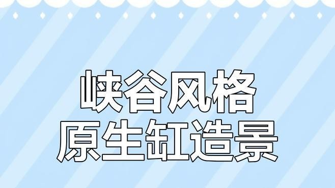 龍魚缸水草造景圖片大全