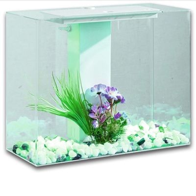 可麗愛魚缸用的是什么玻璃材質（可麗愛魚缸使用的是什么材質）