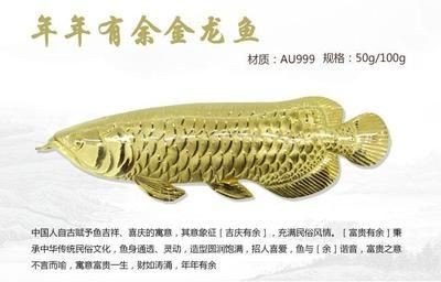 金龍魚的寓意和象征是什么意思送金龍魚的寓意和象征是什么意思：送金龍魚的寓意和象征是什么