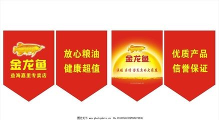 北鎮市溝幫子魚樂圈水族館（北鎮市溝幫子魚樂圈水族館電話）