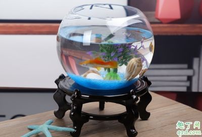 魚缸多長時間換水？怎么判斷水質好壞（魚缸多長時間換水）