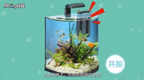 森森牌魚缸過濾怎么樣（森森牌魚缸過濾器與其他品牌比較森森過濾器的靜音效果如何）