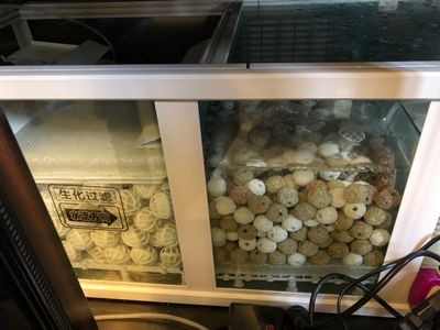 混養魚缸過濾系統配置:混養魚缸過濾系統的配置步驟和注意事項 魚缸百科 第2張 混養魚缸過濾系統配置:混養魚缸過濾系統的配置步驟和注意事項 混養魚缸過濾系統配置:混養魚缸過濾系統的配置步驟和注意事項 魚缸百科 第2張