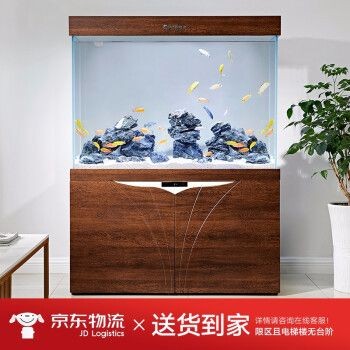 缸內無管件的魚缸怎么樣（無管件魚缸的優點和安全隱患）
