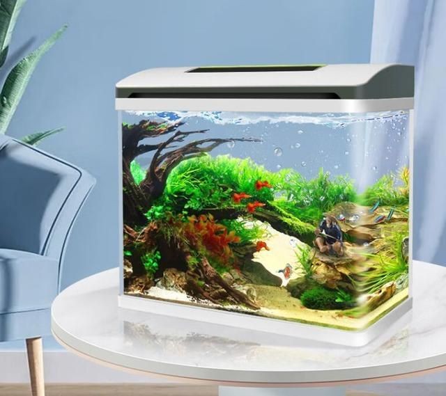 魚缸哪種品牌好（魚缸哪種品牌好魚缸哪種品牌好）
