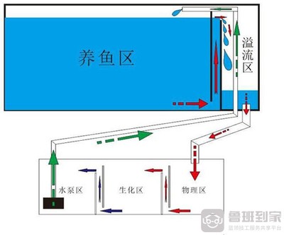 開州區天杰水族店（開州區天杰水族店電話）