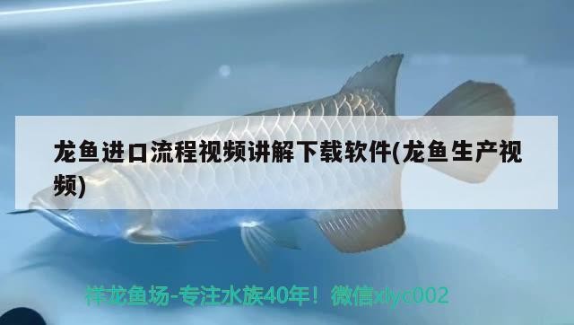 南漳縣鳥語花香苗木有限公司（南漳縣鳥語花香苗木有限公司招聘）