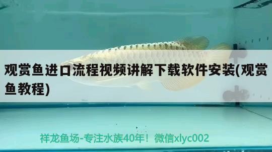 南漳縣鳥語花香苗木有限公司（南漳縣鳥語花香苗木有限公司招聘）