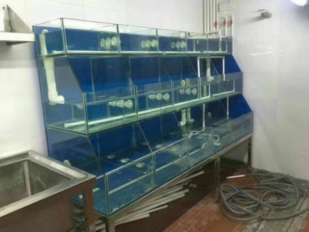 魚缸里的故事實驗室：“魚缸里的故事實驗室”是一個多維度、跨領(lǐng)域的概念 魚缸里的故事實驗室：“魚缸里的故事實驗室”是一個多維度、跨領(lǐng)域的概念 魚缸百科 第2張