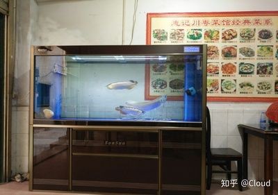 西龍魚缸質量怎么樣知乎：西龍魚缸與其他品牌的對比西龍魚缸價格區間查詢