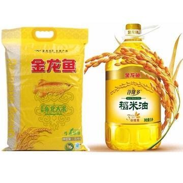 海港區魚你同在觀賞魚店