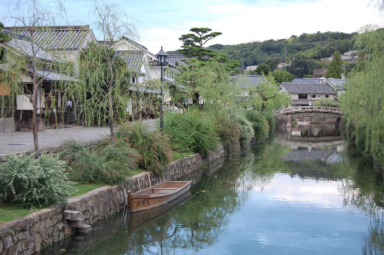 西安市碑林區誠龍水族店