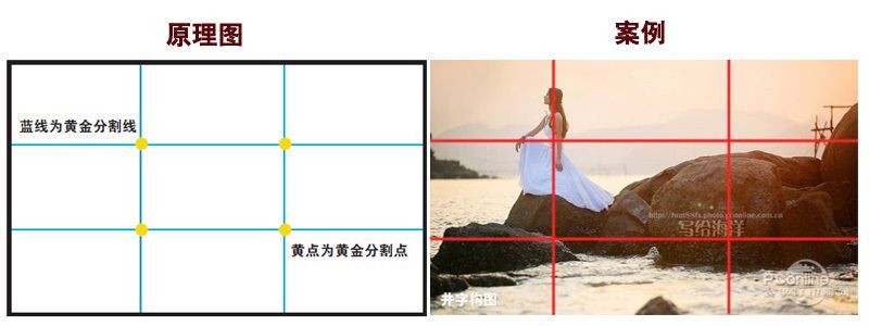 海沙能不能放魚缸里造景（海沙可以放入魚缸進行造景）