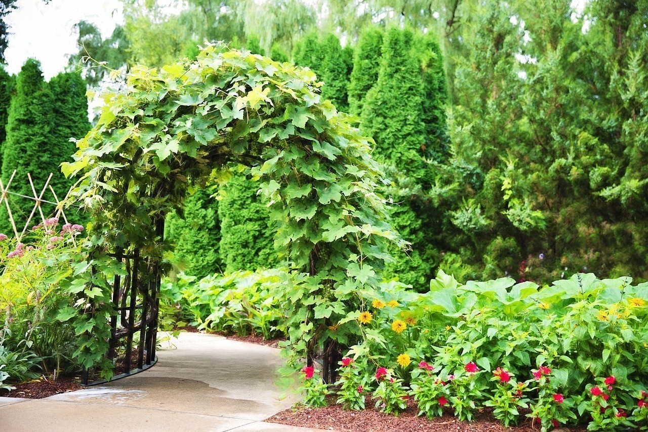 上海愛梅綠化園藝有限公司