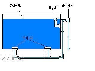 底濾強排是魚缸過濾系統的一部分用于排除過濾倉中的污垢：使用底濾強排排空魚缸水的具體步驟