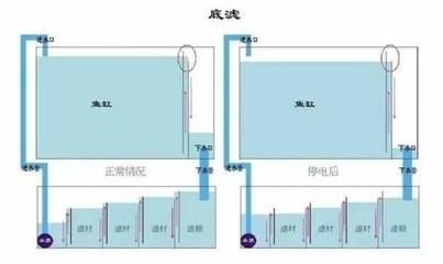 底濾強排是魚缸過濾系統的一部分用于排除過濾倉中的污垢：使用底濾強排排空魚缸水的具體步驟