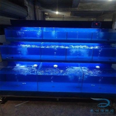 調節海鮮魚缸溫度的方法是一些調節方法的優缺點：如何調節海鮮魚缸溫度