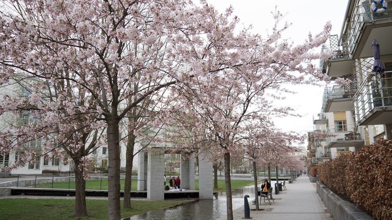 南京市下關區翔麗園藝服務中心（南京翔宇花園屬于哪個社區）